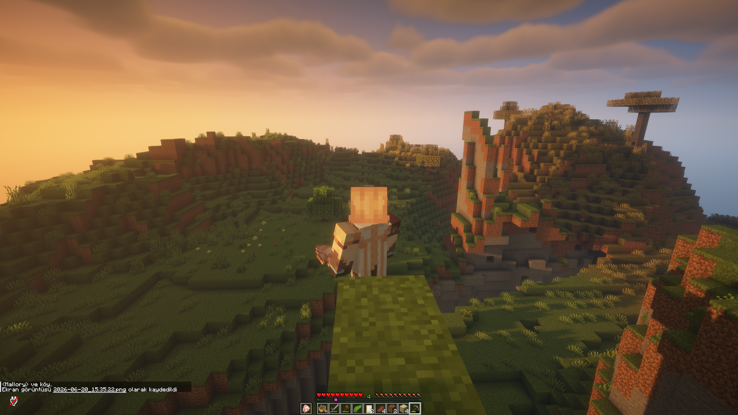 Minecraft 1